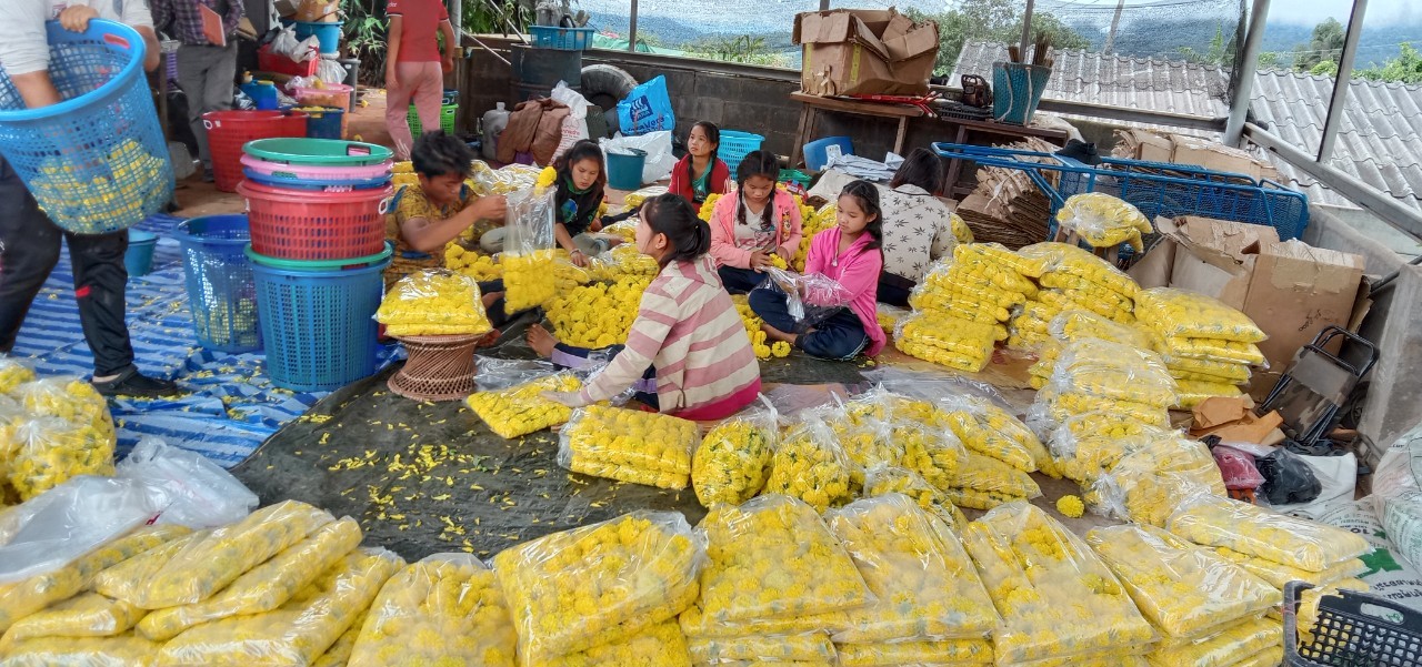 ข่าวประชาสัมพันธ์
